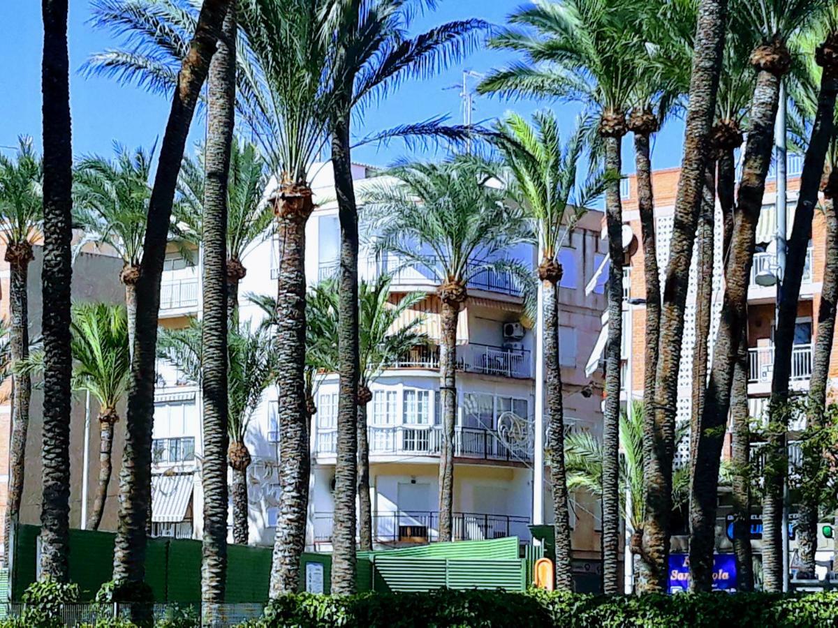 El Palmeral